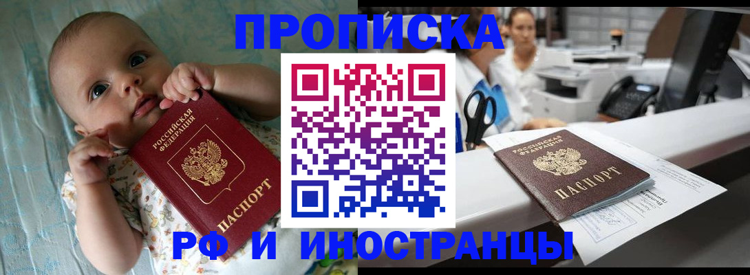 прописка поиск в Бабаево